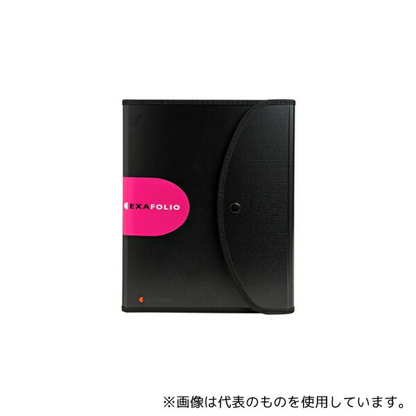 エグザコンタ 55834E エグザフォリオ