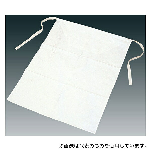 フロンケミカル NR0229-001 フッ素樹脂(PTFE)ラミネート腰前掛け FC-HFO|セミプロDIY店ファースト