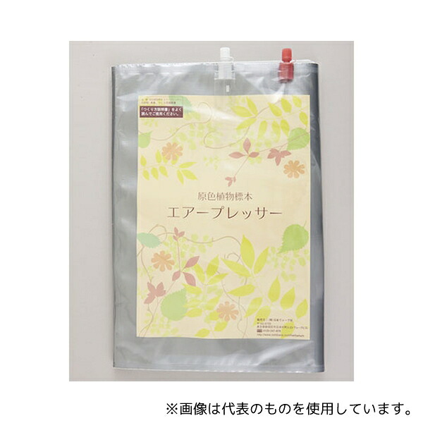 日本ヴォーグ社 原色植物標本 エアープレッサー