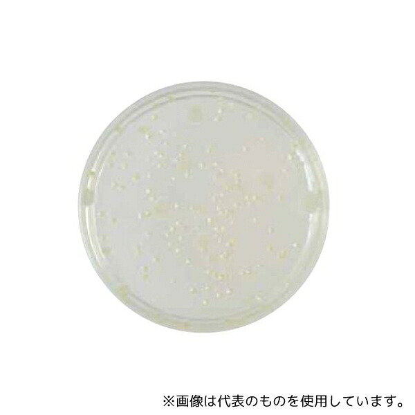 ベクトン・ディッキンソン 251543 BD BBL(TM) 標準寒天培地 1個(1本×100枚入) 20,228円
