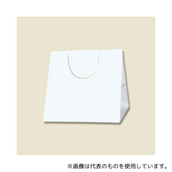 HEIKO 6459400 手提げ紙袋 ブライトバッグ C0 白 10枚