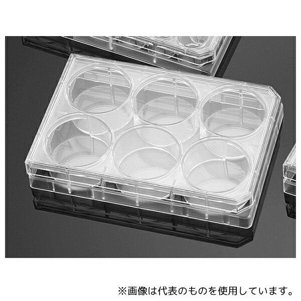 Corning(Falcon) 351146 ノントリートメントプレート 6ウェル 平底 フタ付き 1ケース(1個×50パック入)
