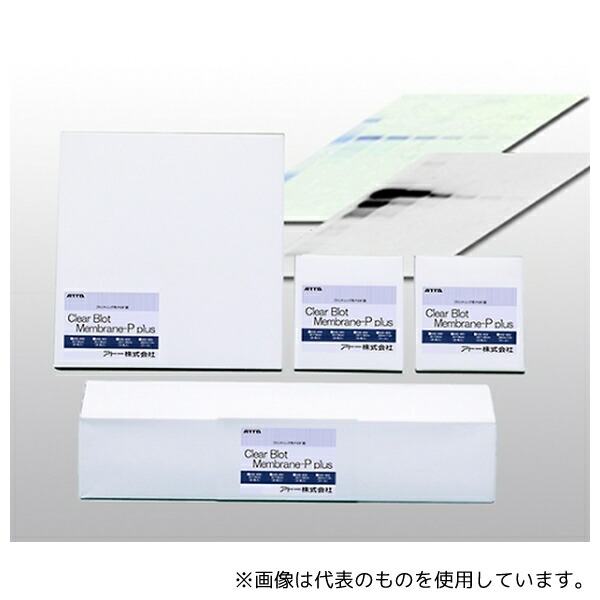 アトー 2322451/WSE-4051 ブロッティング用PVDF膜「クリアブロット・P+膜」 1箱(20枚入) 21,440円