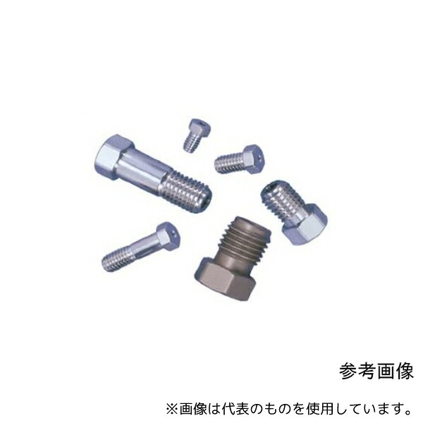 Valco Instruments Co. Inc.(VICI) ZN2-10 インターナルナット SUS 10個入 1/8