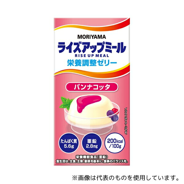 守山乳業 ライズアップミール 栄養調整ゼリー パンナコッタ 535g 12本入