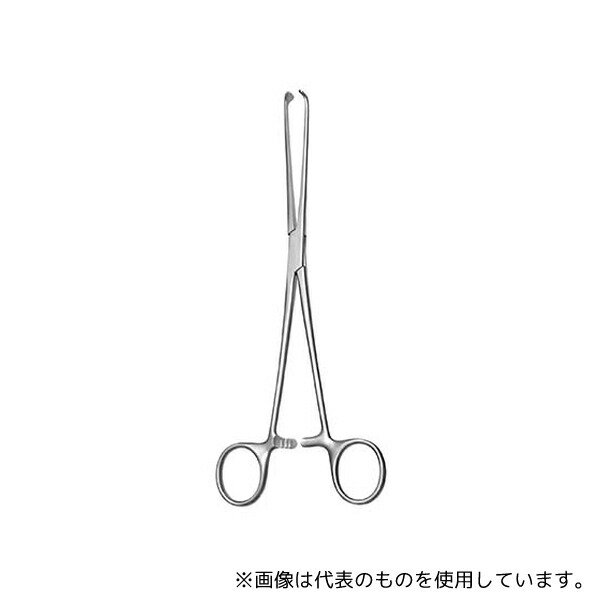 ガーデニング特集 芝刈り機が今一般受けです 医薬品・コンタクト・介護-その他