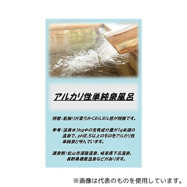 アサヒ商会 アサヒ入浴剤 アルカリ性単純泉風呂 10kg