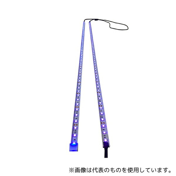 店卸し資産追っ立てる特集！