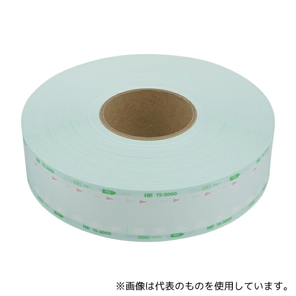 日油技研工業 TS-3000 HPsp(R)滅菌バッグ(AC/EOGガス両用ロールタイプ)