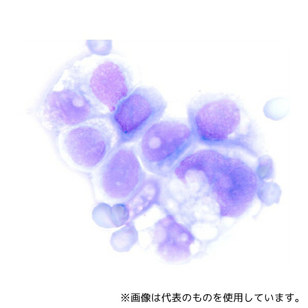 意気ごみ症から守る冷房装置御召しもの