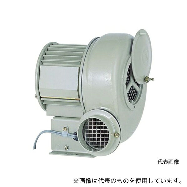 SDG SF-75 電動送風機 汎用シリーズ(0.25kW)