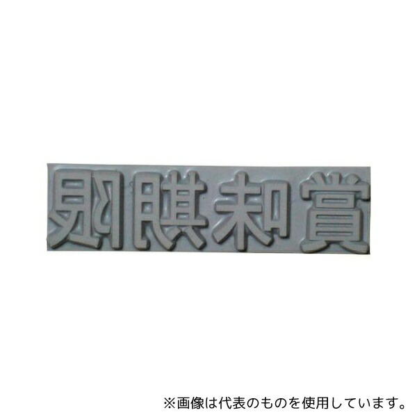 山崎産業(コンドル) KJ-A-T101 産業用スタンプ フラットスタンプ・ロールマーカー用差替式ゴム活字 特注活字(10mm) 賞味期限