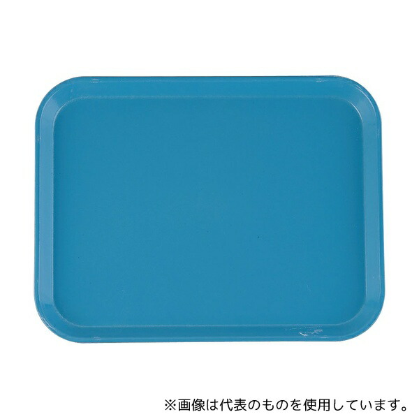 CAMBRO(キャンブロ) 1014 カムトレー(FRP) ロビンエッグブルー