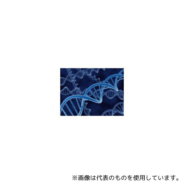 店卸し資産追っ立てる特集！