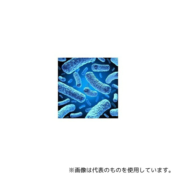 一心不乱症から守る空調設備御召しもの