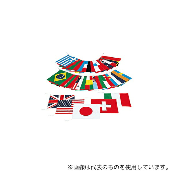 エバニュー EKA382 万国旗 40