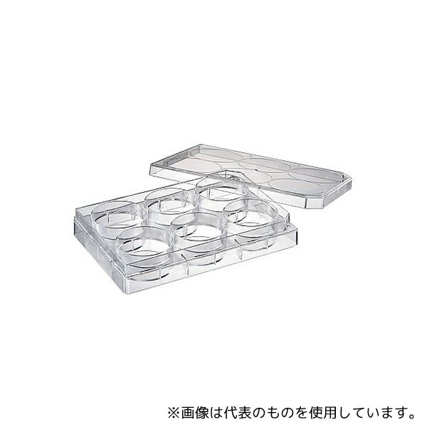 WATSON 197-06CS 培養プレート6ウェル 浮遊細胞用 滅菌 22,445円