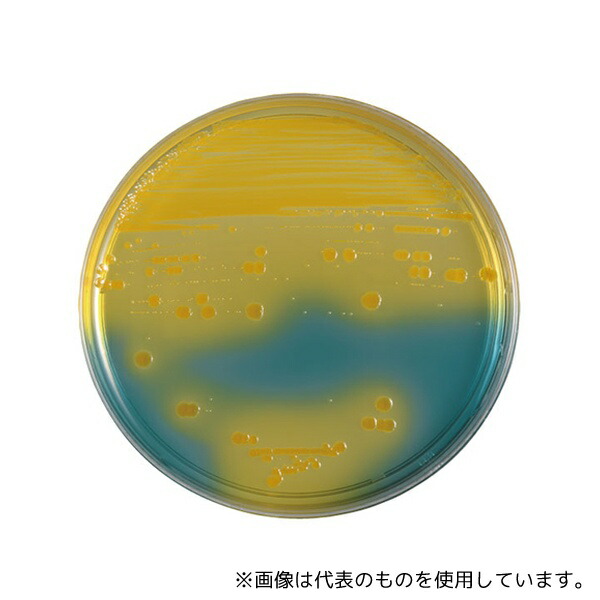 ベクトン・ディッキンソン 258246 BD BBL(TM) BTB乳糖加寒天培地 20枚