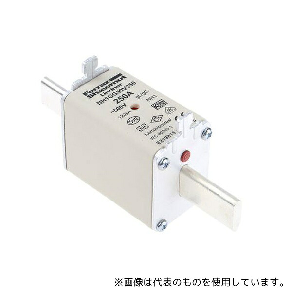 Mersen E219815 ヒューズリンク 250A 500V ac