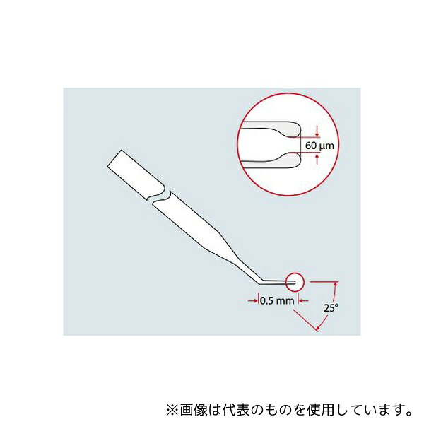 BIOZOL 2229001178 バキュチップII 内径 60μm、 外径 110μm 1式(25本入)