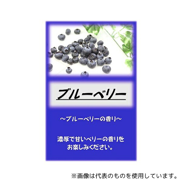 アサヒ商会 アサヒ入浴剤 ブルーベリー 2.5kg