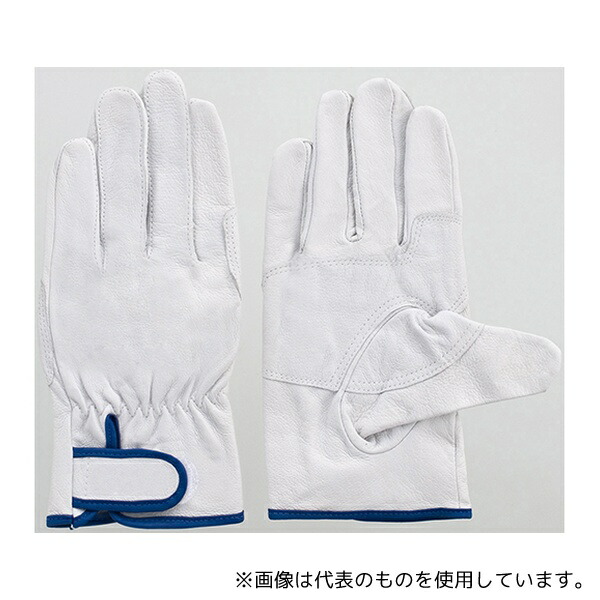 富士グローブ 5982 豚本皮レインジャー型アテ付手袋 3双組 白 M