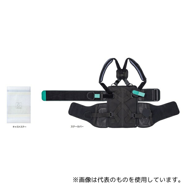 アルケア 21114 フィットキュア？・スパイン S