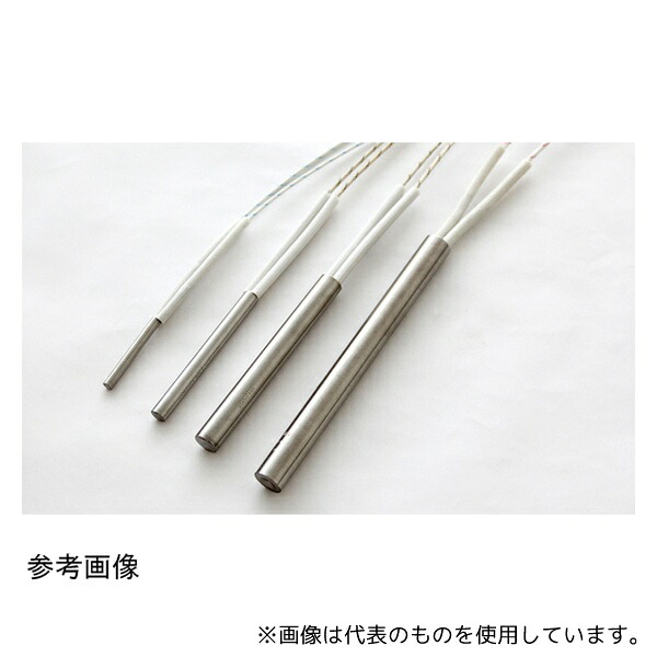 坂口電熱 10252050 カートリッジヒーター「HI-SDロッド」 220V 500W φ10×250L 9,080円