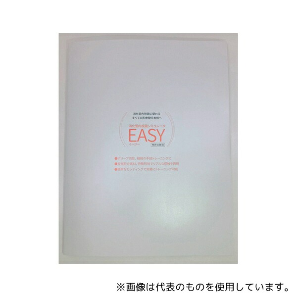 タナック 消化管内視鏡シミュレータ EASY イージー 台座セット