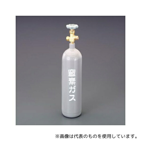アズワン EA301-1A 2.1L 窒素ボンベ(容器のみ)