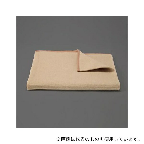 アズワン EA915DB-163 1400x1950mm 難燃毛布