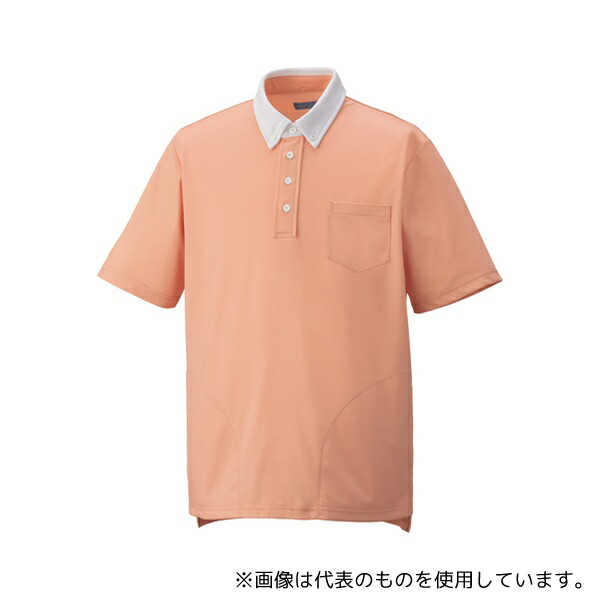 KAZEN KZN238-4 ニットシャツ アプリコット 3L