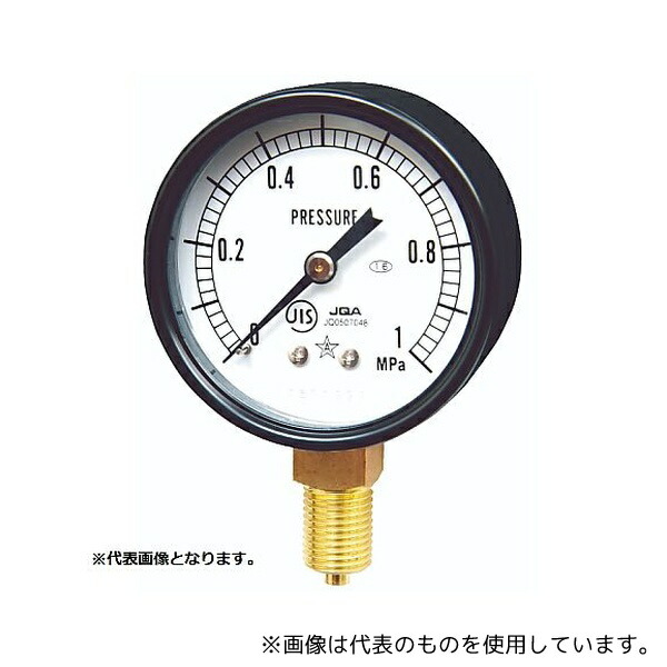 右下精器製造 AVT1/4-60X2.5MPA 一般圧力計 耐振用 検査成績書付き(G211-111-V-2.5MPa)