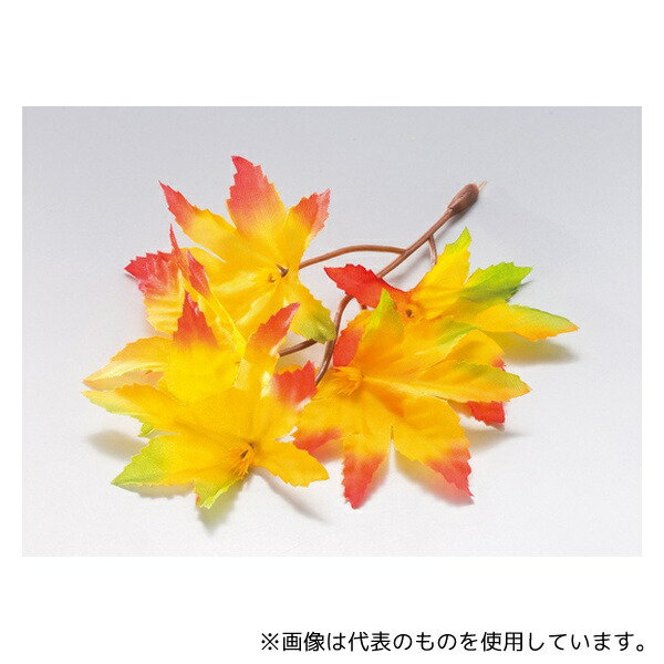 ヤマコー 64220 四季の花ごよみ もみじ (100個入)