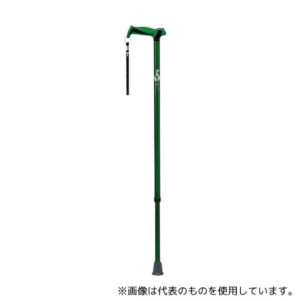 竹虎 104757 ヒューゴステッキ グリーン