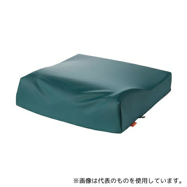 タカノ TC-REW1 タカノクッションwipeR1