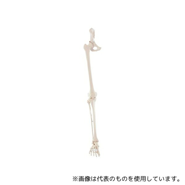 意気ごみ症から守る冷房装置御召しもの