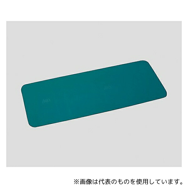 エアレックス社 AML-480B フィットネスマット[AIREX Mat] 青