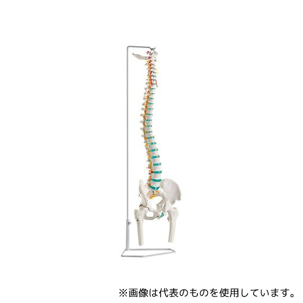 意気ごみ症から守る冷房装置御召しもの
