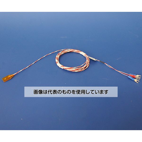 林電工 測温抵抗体 D-RZM-2 1本
