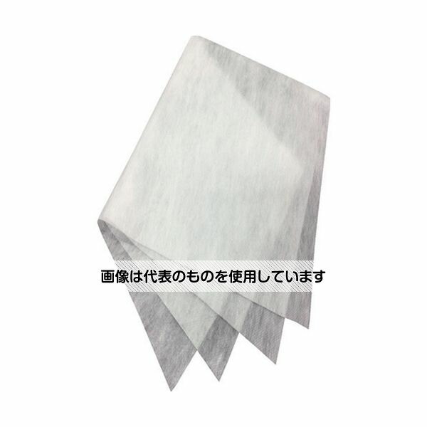 ダイアン・サービス エアークエストEX 38×80 2枚入 AQ2-01-02 入数：1袋(2枚入)