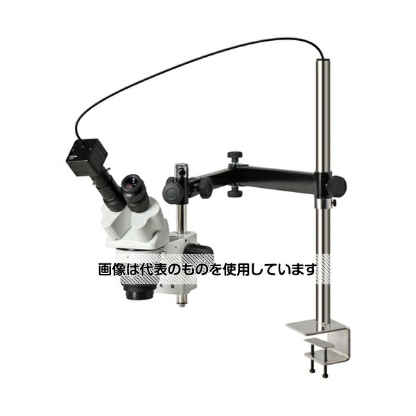 ガーデニング特集 芝刈り機が今一般受けです DIY・工具-花・ガーデン・DIY-その他