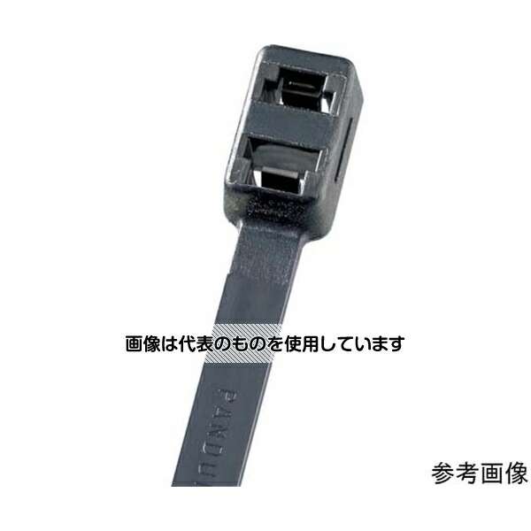 アズワン(AS ONE) ダブルループ結束バンド耐熱性黒4.8×300×1.3(1000本入) PLB3S-M30 入数：1袋(1000本入)