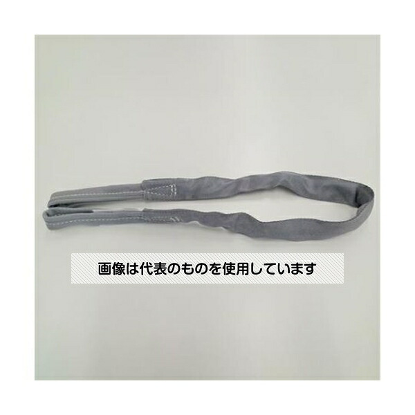 アズワン(AS ONE) 38mmx5.0m/0.5tonベルトスリング(ナイロン･ソフト) EA981RA-5A 入数：1本 5,798円