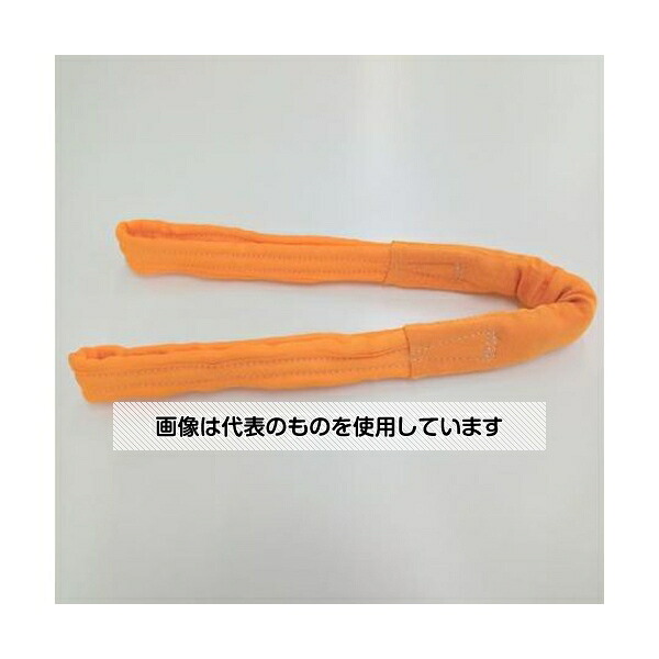 アズワン(AS ONE) 64mmx2.0m/3.2tonベルトスリング(ナイロン・ソフト) EA981RE-2A 入数：1本 12,210円
