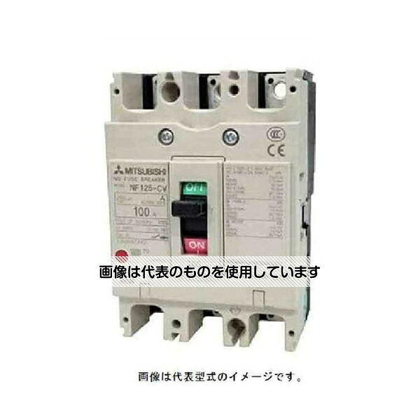アズワン(AS ONE) 配線用遮断器(NF)100A NF125-CV2P100A 入数：1個