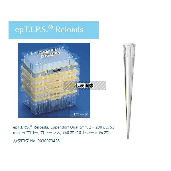 エッペンドルフ 30073436 ピペットチップ(epTIPS) リロード 2～ 200μL 96本×10トレー入
