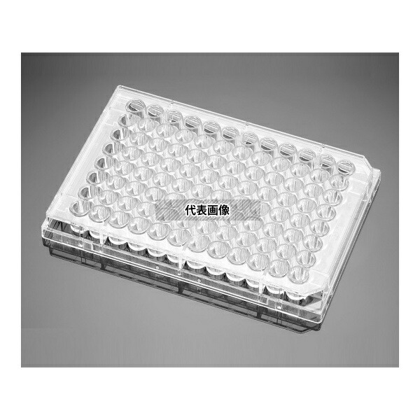 Corning(Falcon) 351172 96ウェル透明平底未処理セルカルチャープレート フタ付き、個別包装、滅菌、50枚/ケース
