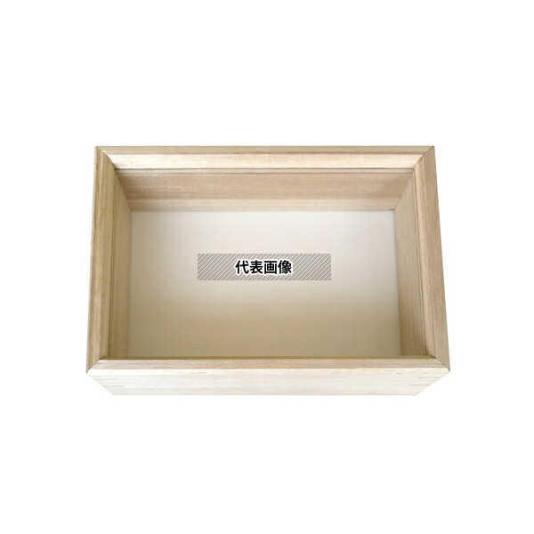 志賀昆虫普及社 No.428 桐製ガラスフタ式標本箱 特大型 400×300×60mm