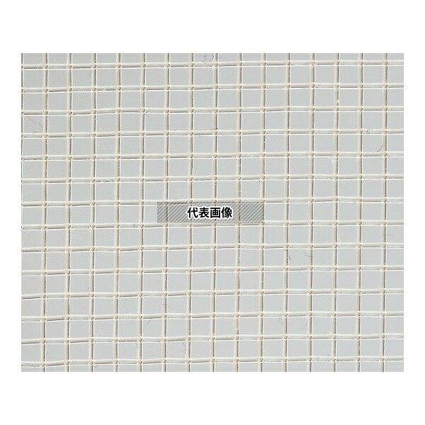 tantore サランスクリーン(平織) ナチュラル 目開き1.2mm N-16 1m|セミプロDIY店ファースト